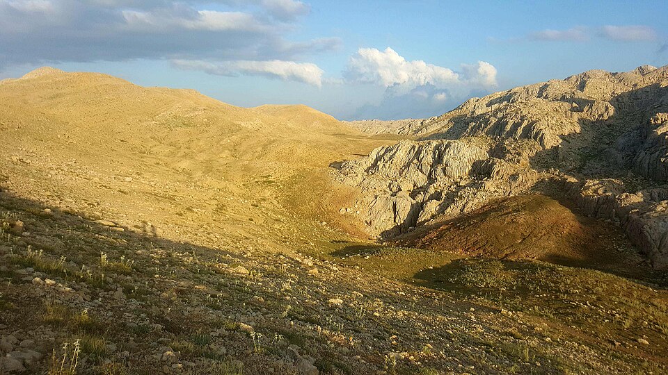 Isıl Sarıyuce