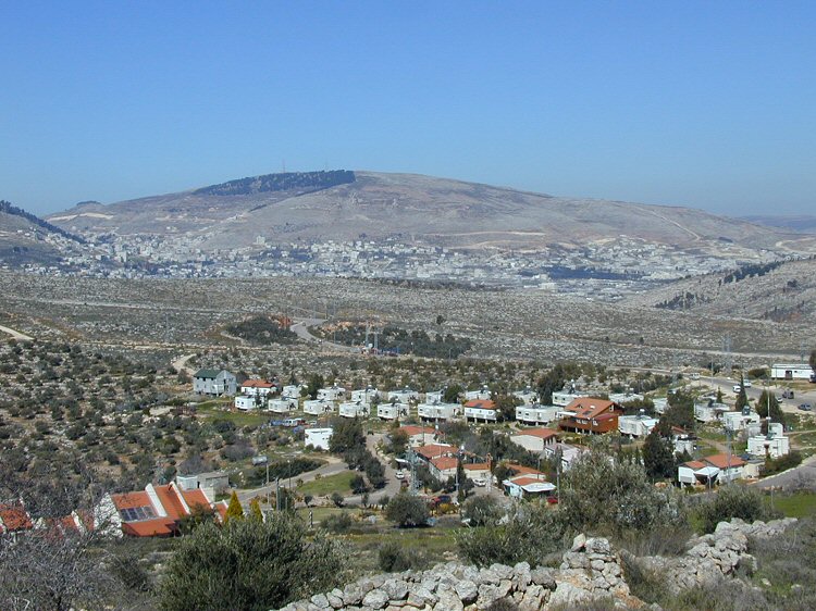 Itamar Fleishman