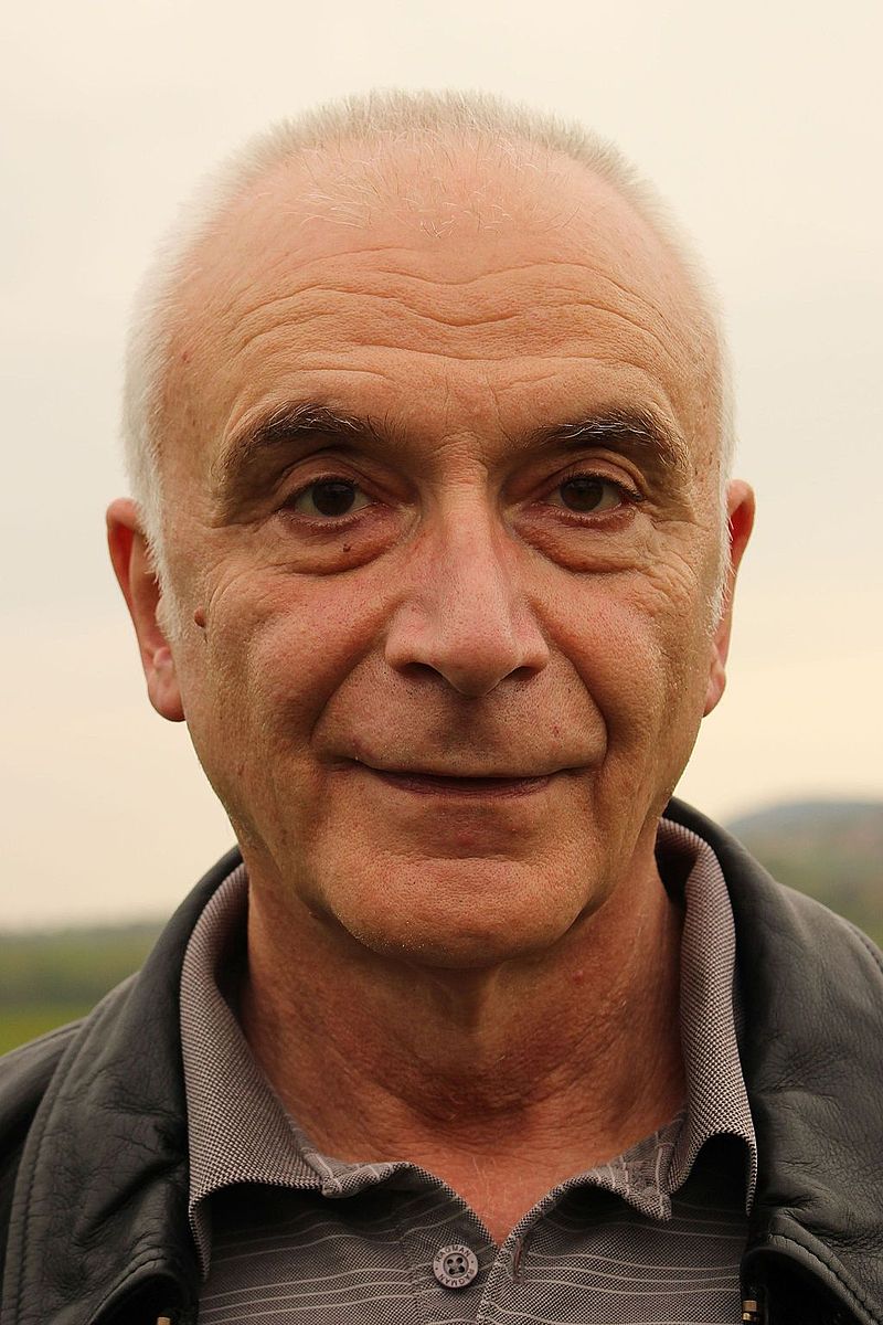 Ivo Boscarol