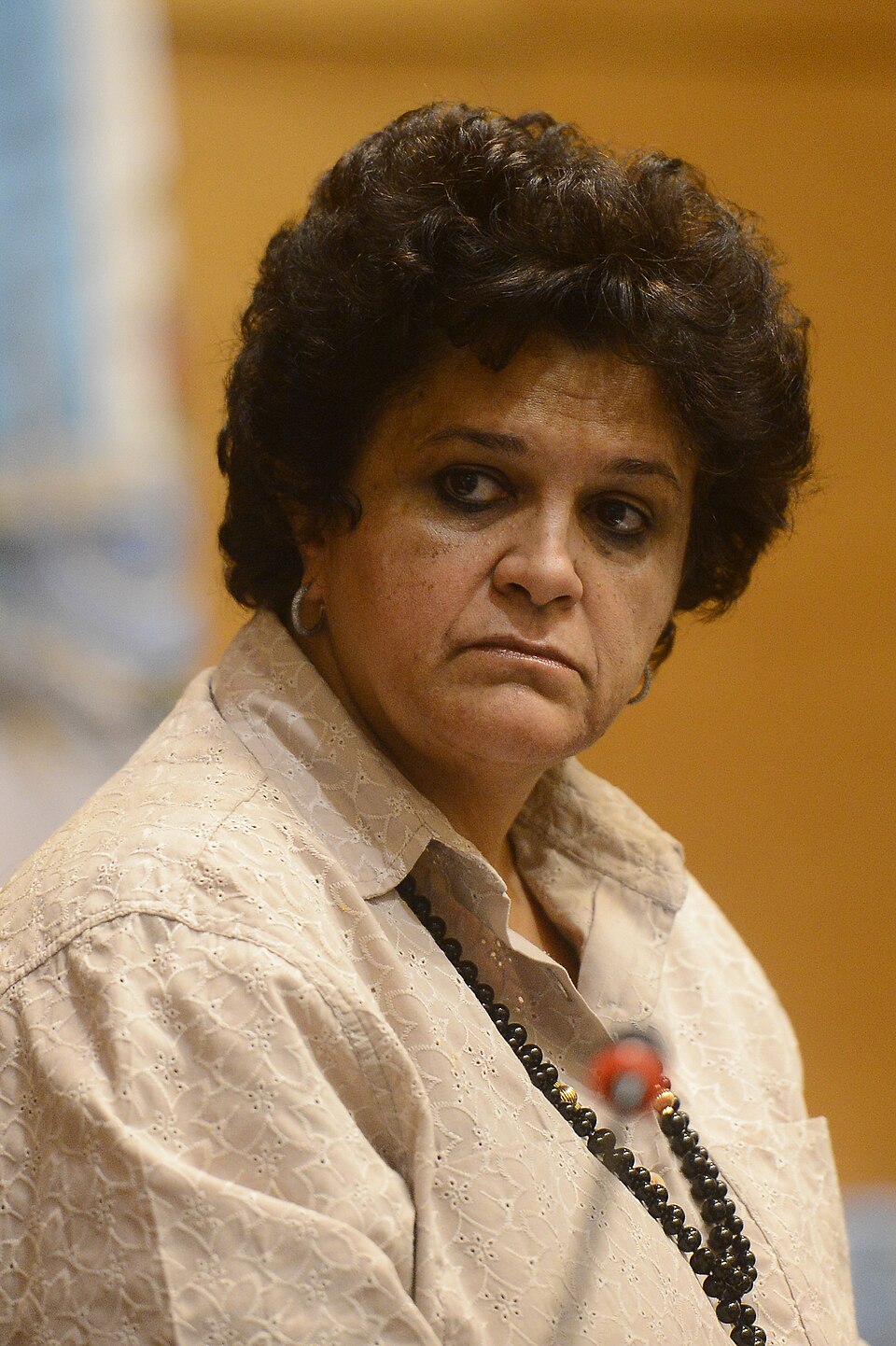 Izabella Teixeira
