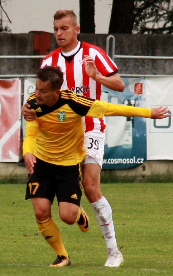 Jan Suchan