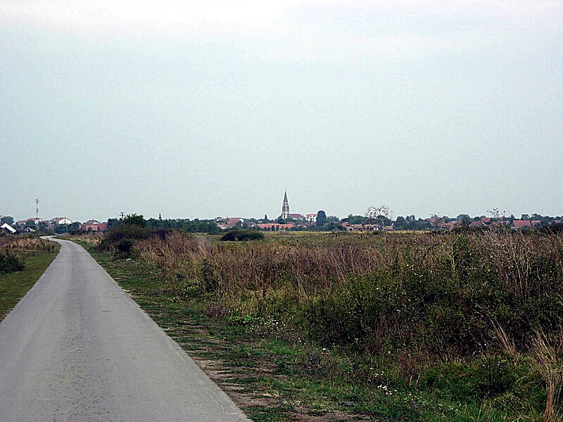 Jaša
