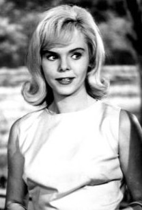 Jennifer Maxwell