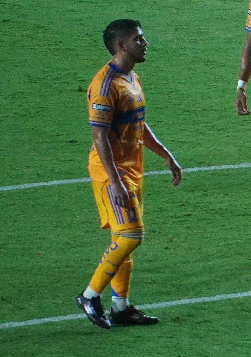 Jesus De La Garza