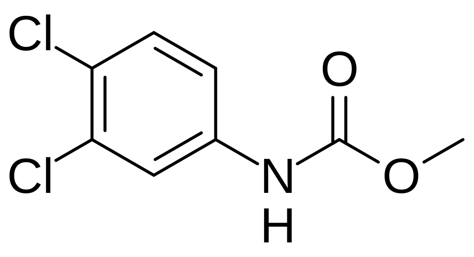 Jiang Jiandong