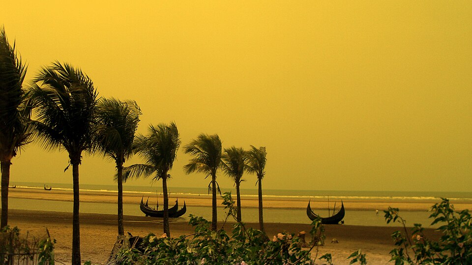 Jinnat Ara Haque