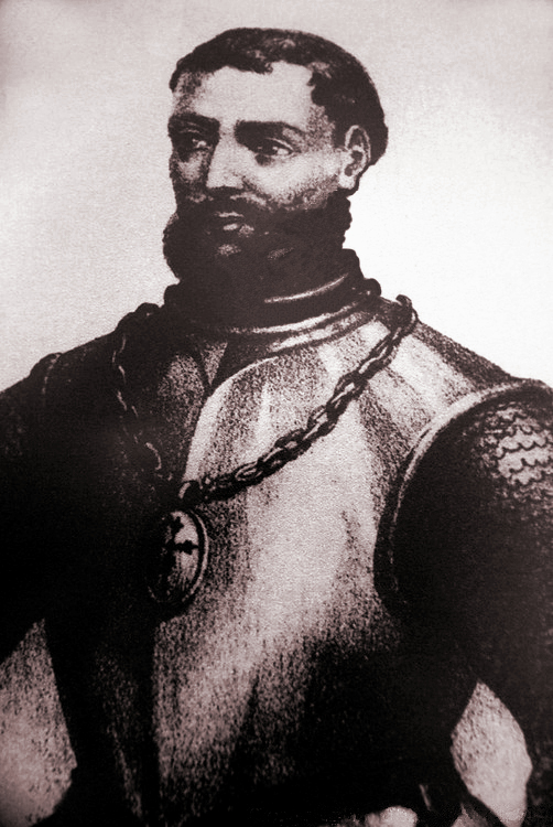 Joan Alvarez