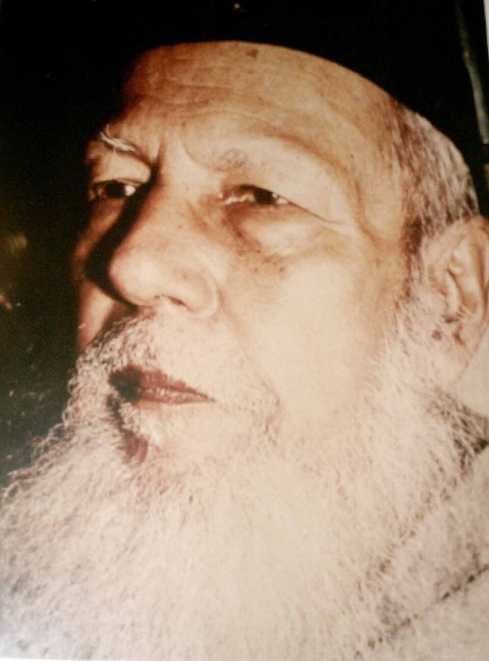 Jobaida Mirza