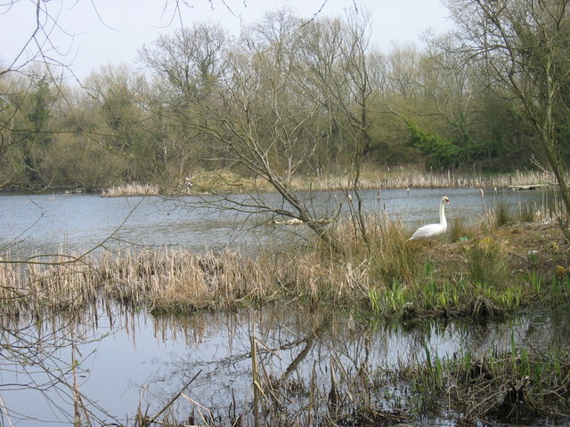 Joe Pond