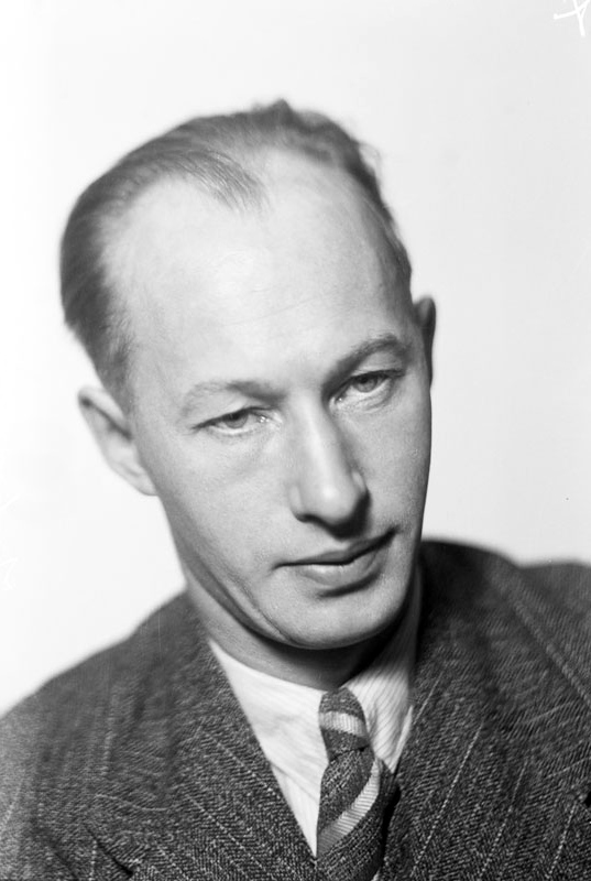 Johan Svedjedal