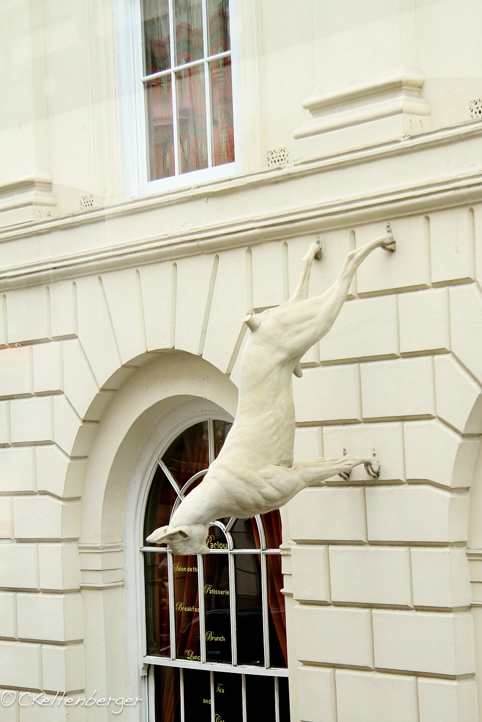 Johannes Nuding