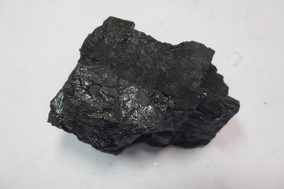 John Coal