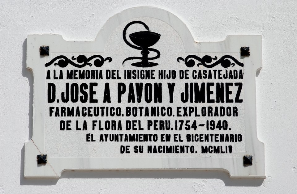 José Antonio Pavón