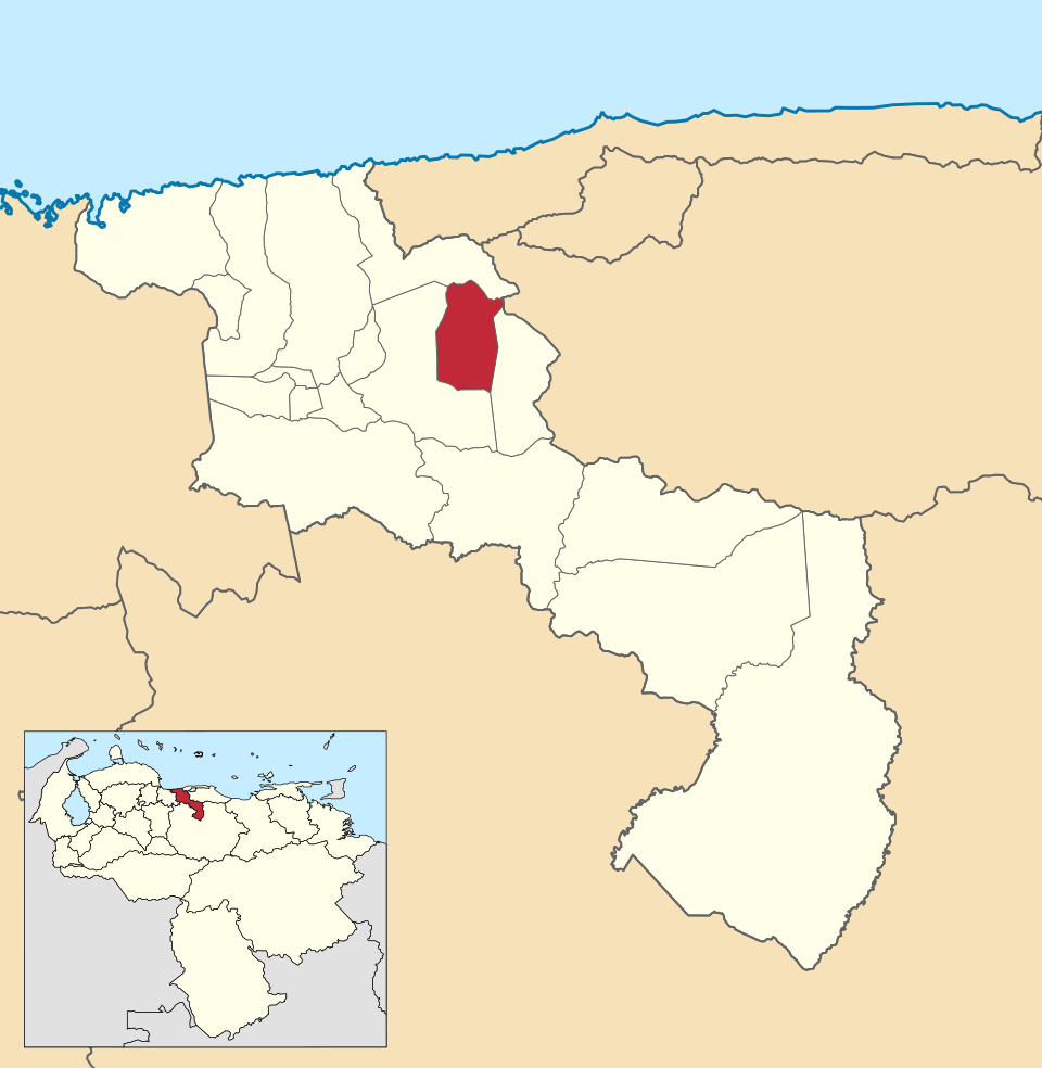 José Rafael Minier