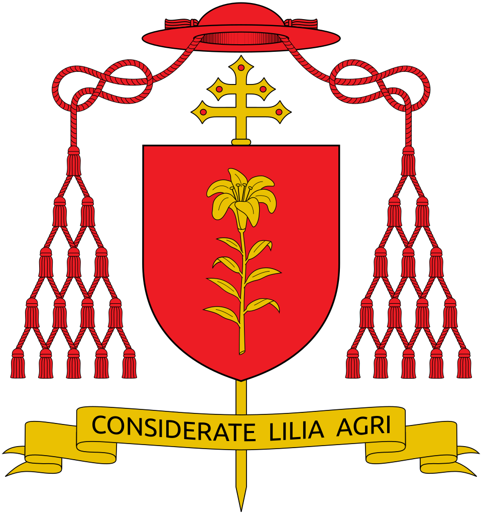 José Tolentino Mendonça