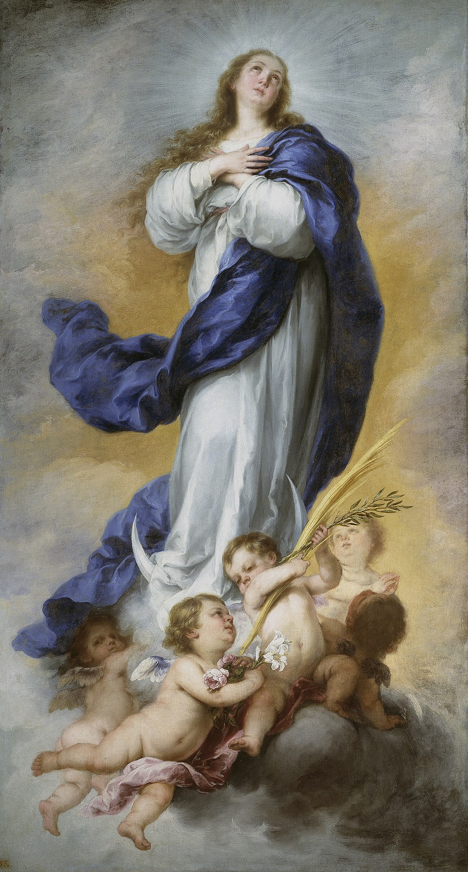 José Vilaplana Blasco