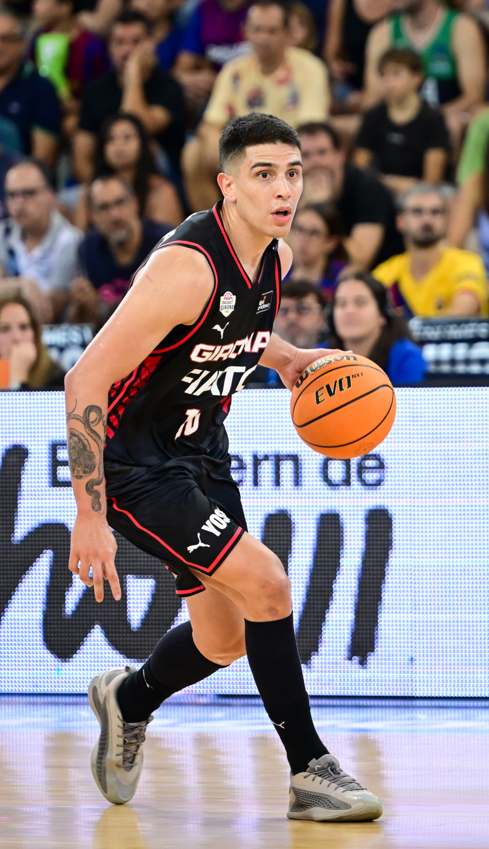 José Vildoza
