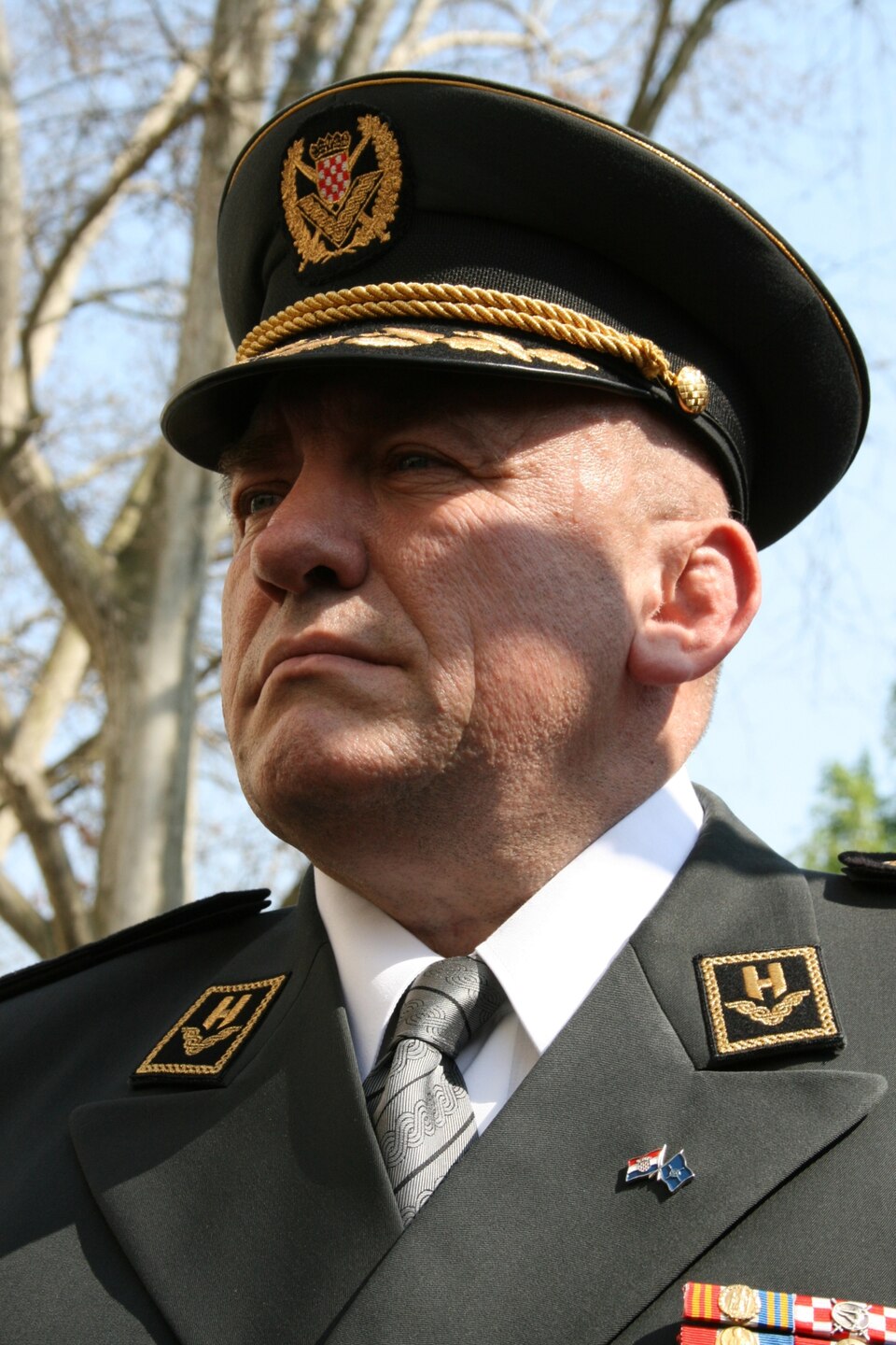 Josip Lucić