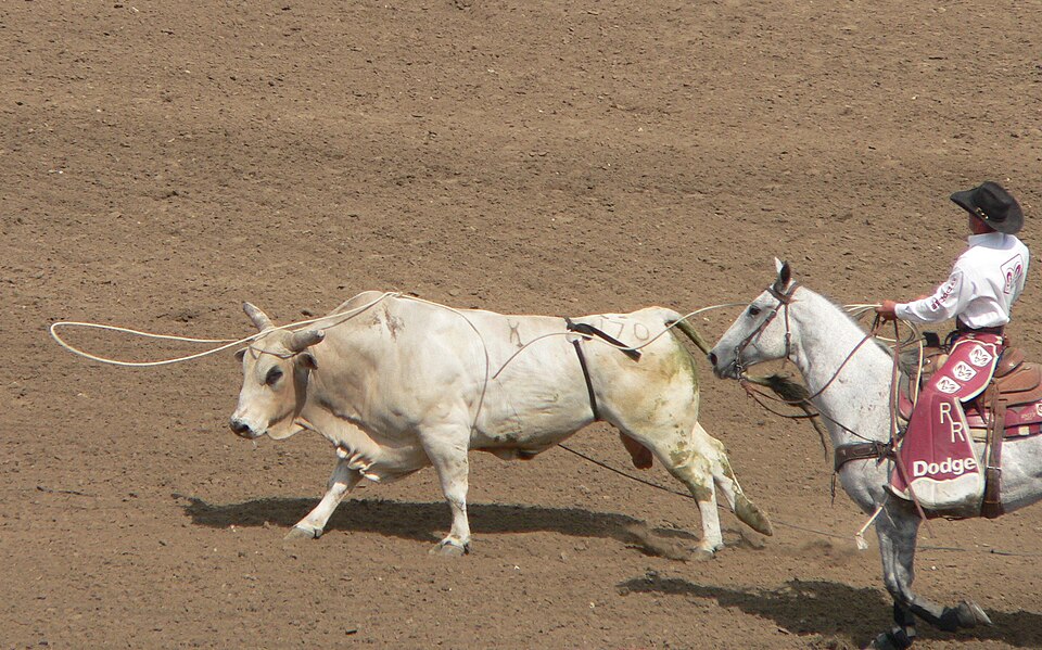 Juan Manuel Lasso