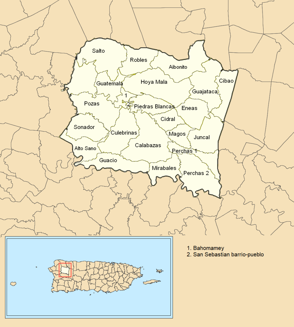 Juan Sebastián Cardona Bernal