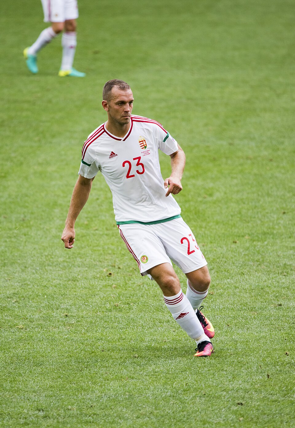 Juhász Roland
