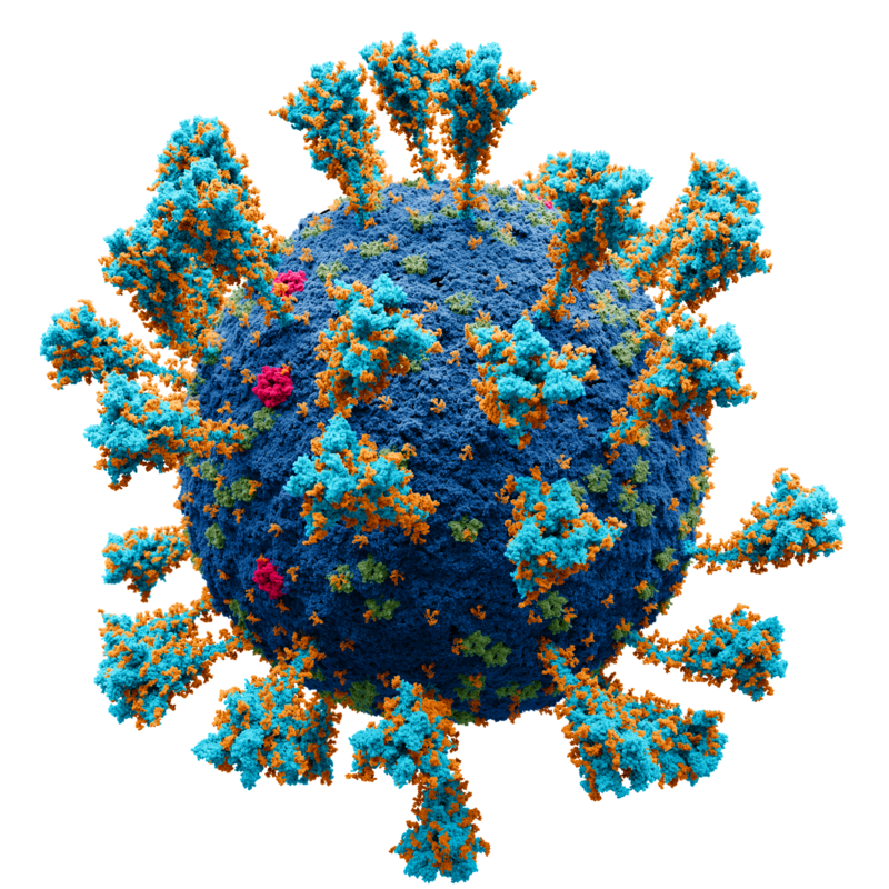 Julius Kisanga