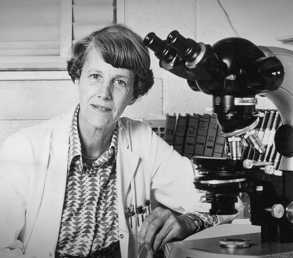 June L. Biedler