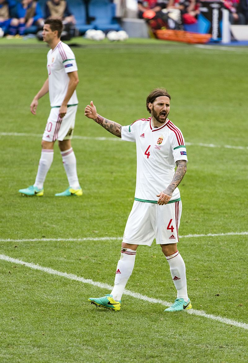 Kádár Tamás