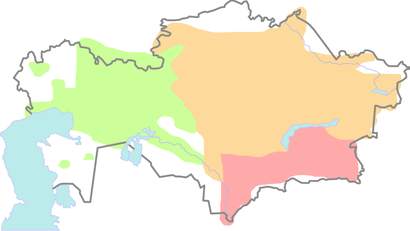 Kanat Tasibekov