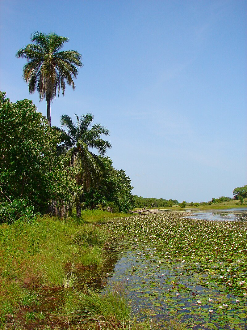 Kanimang Camara