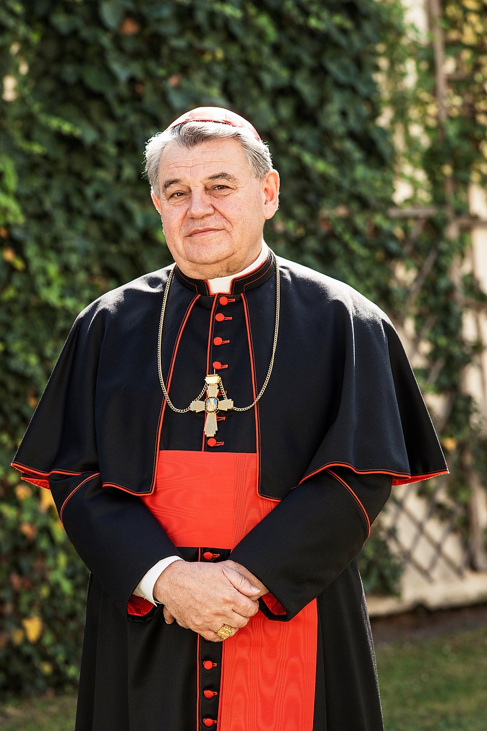 Kardinál Duka