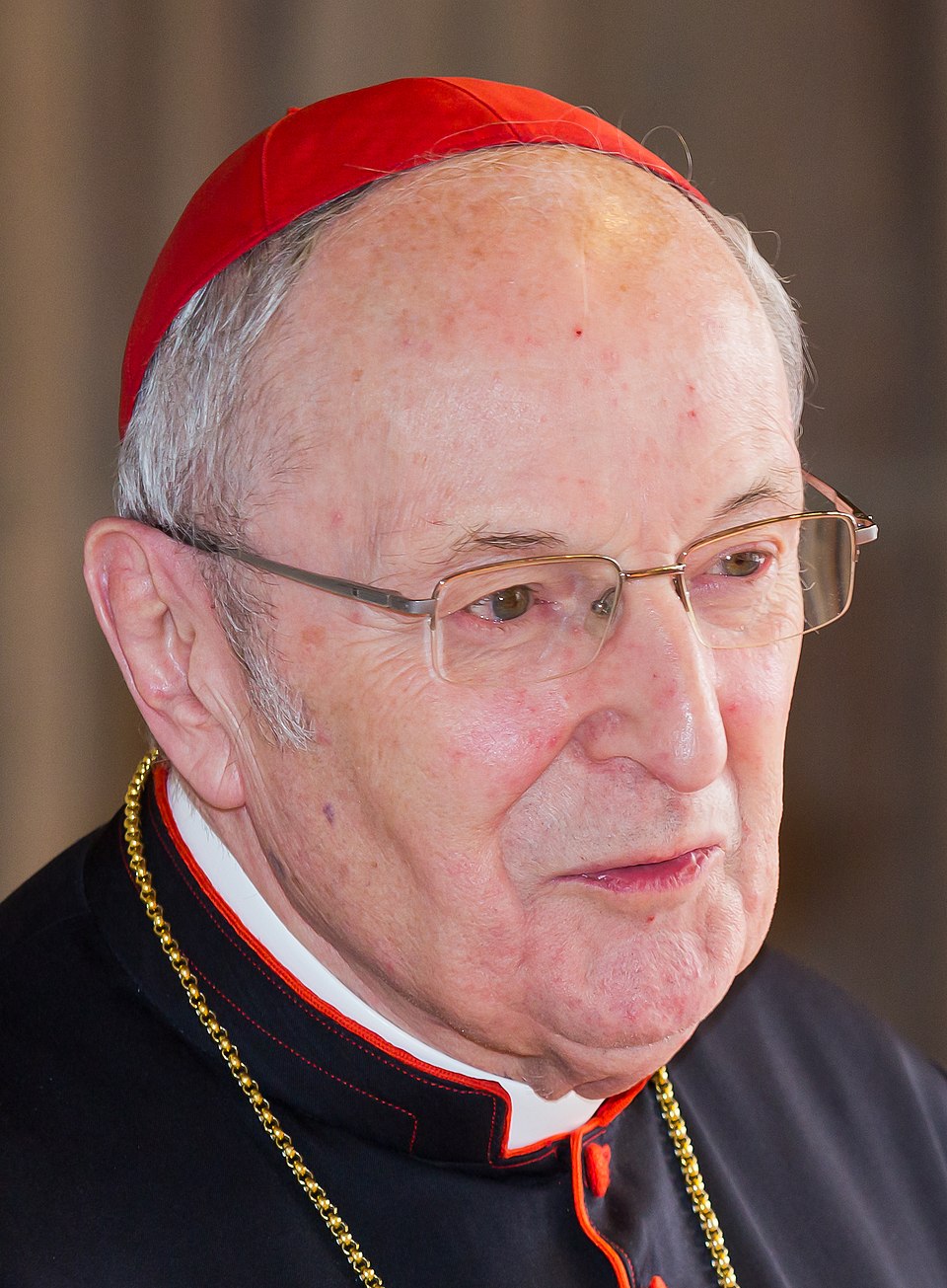 Kardinal Raymond Leo Burke