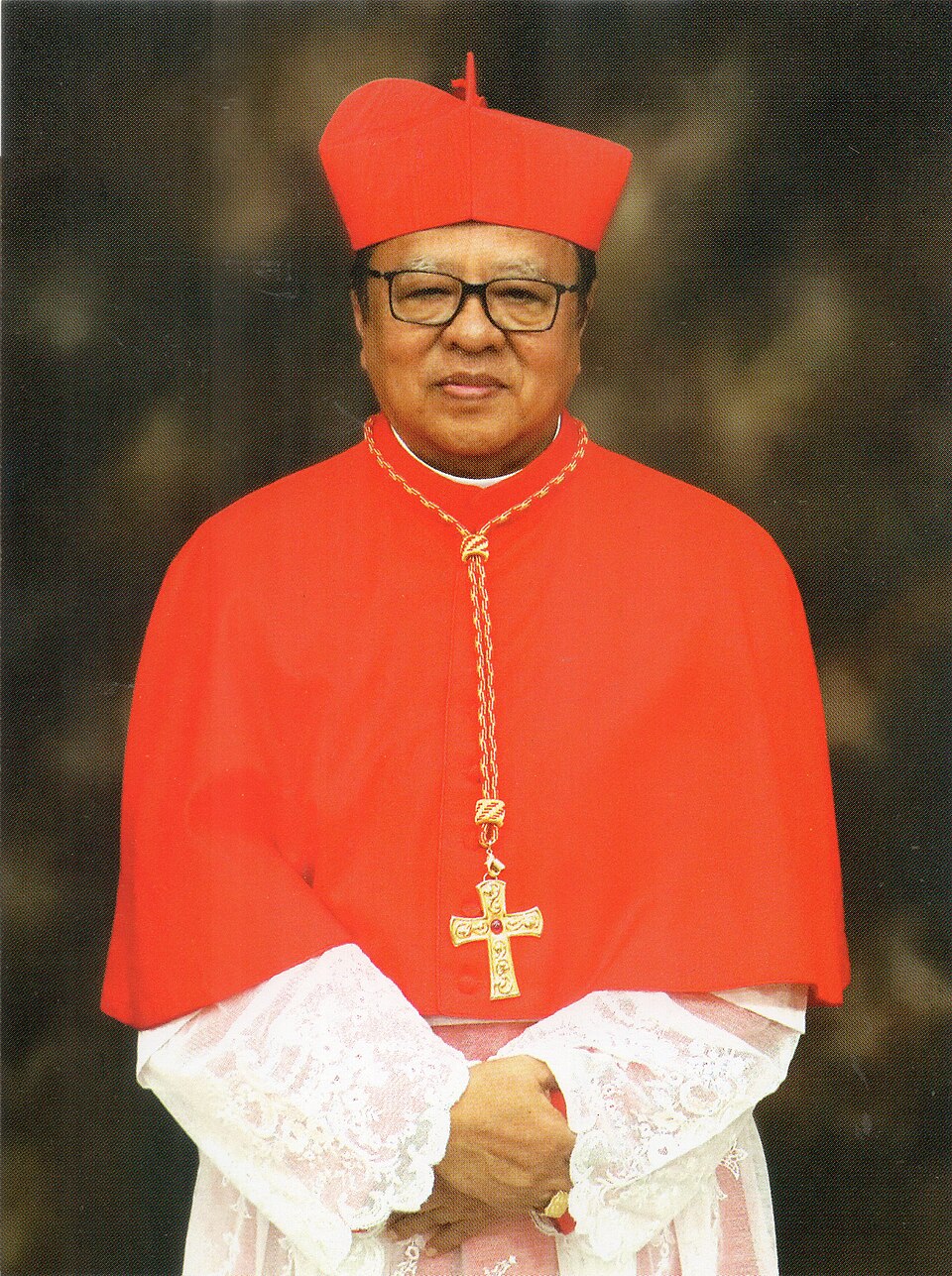 Kardinal Suharyo