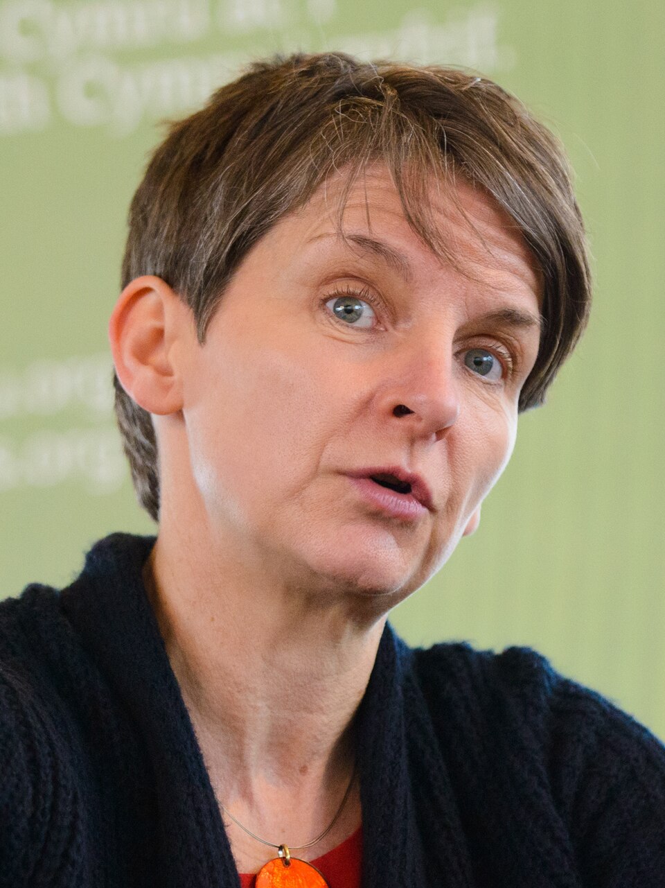 Karen Mcallister