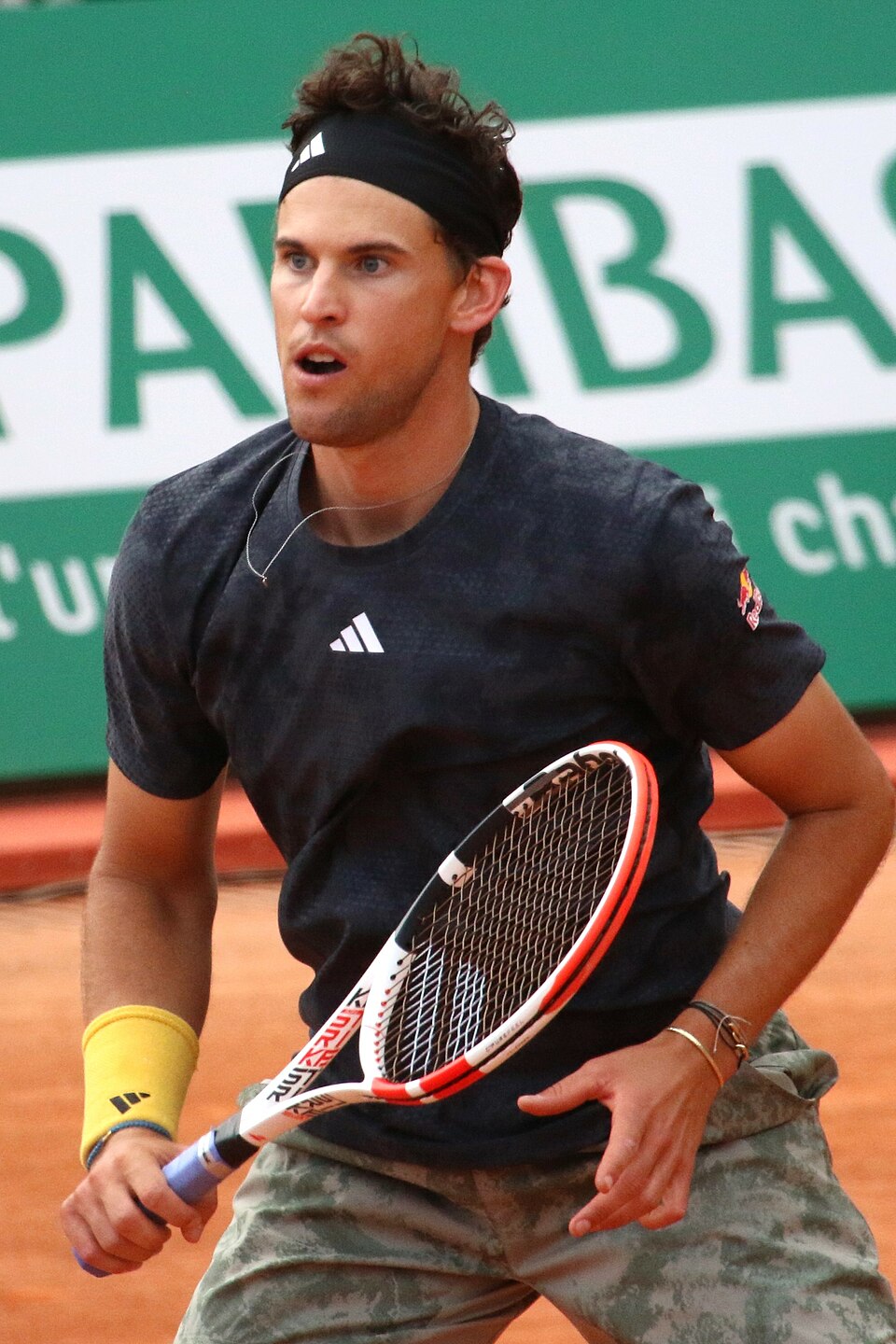 Karin Federer