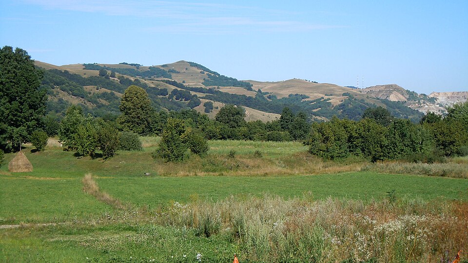 Károly Torma
