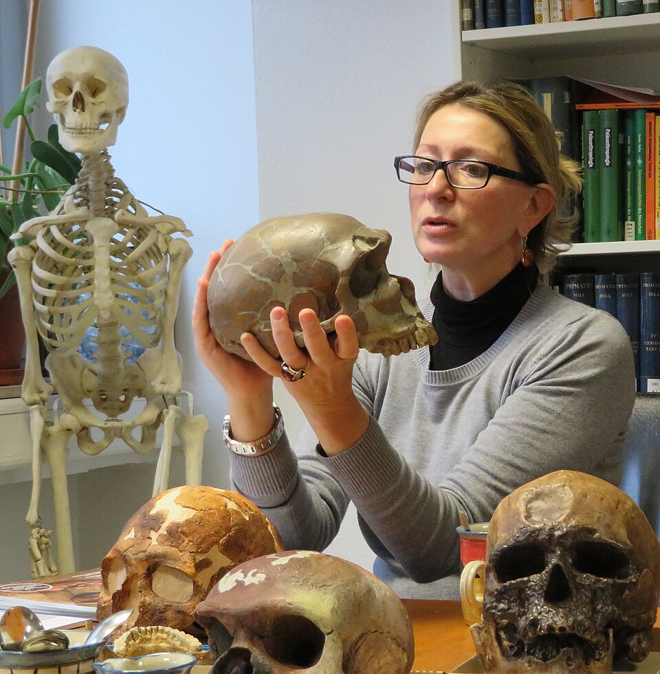 Katerina Harvati