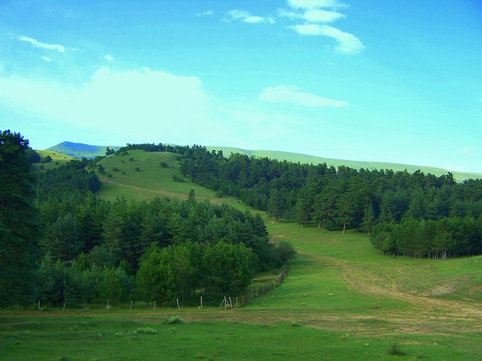 Ketevan Kutateladze
