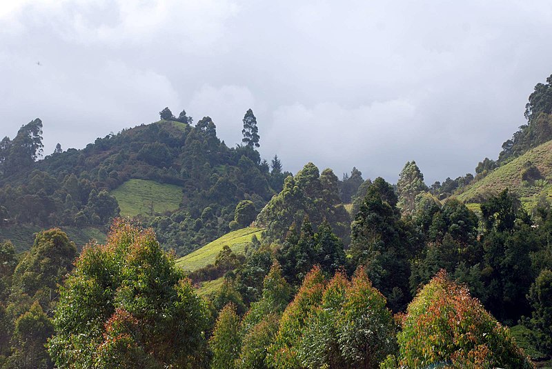 Kibe Mungai