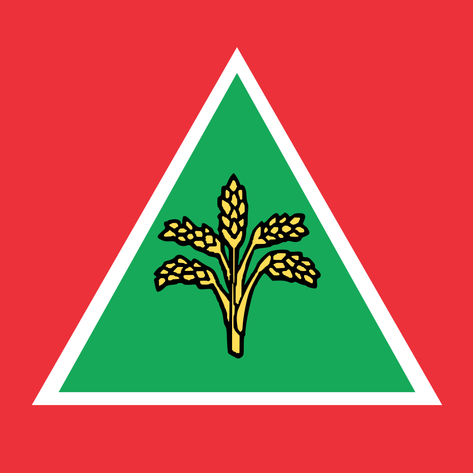 Kim Il Pvl