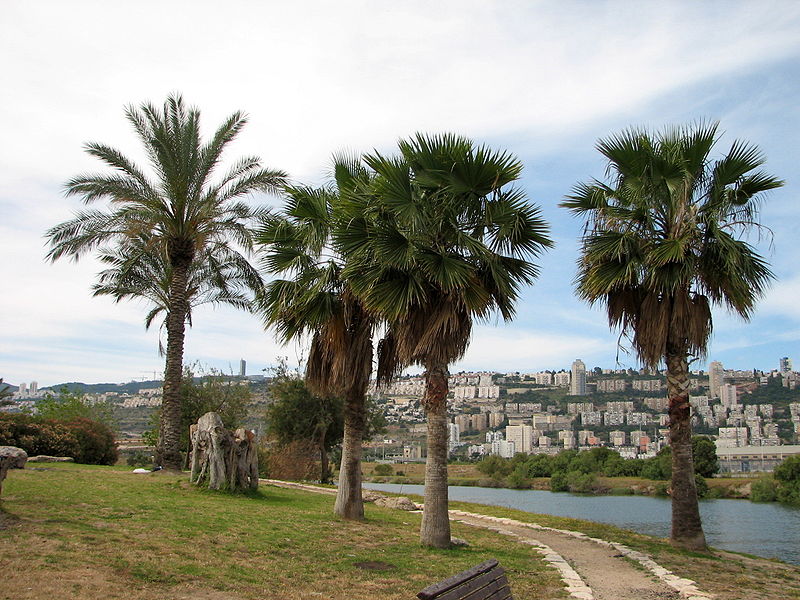 Kishon John