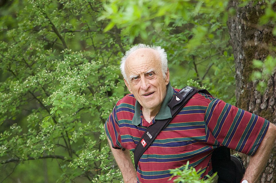 Kolozsvári István