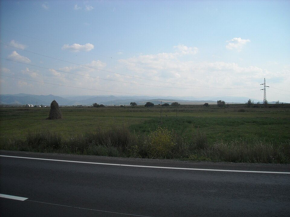 Kucir