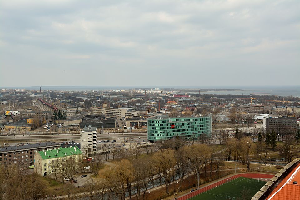 Külli Tammur