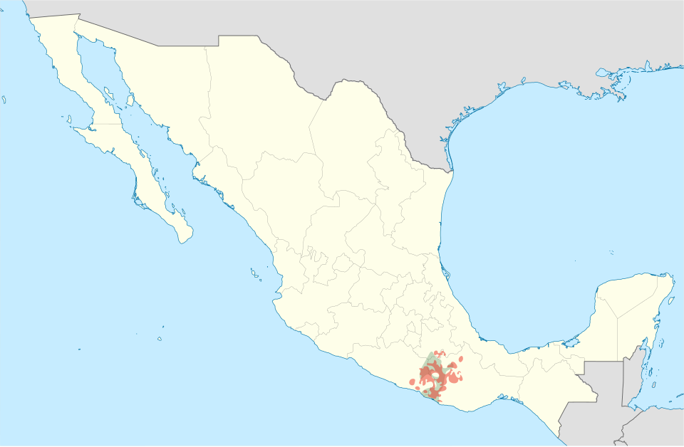 Kuu Te