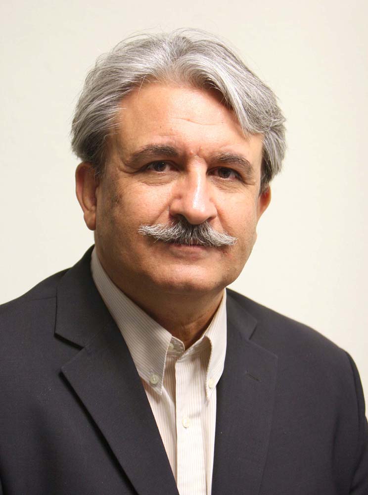 Ladan Ali