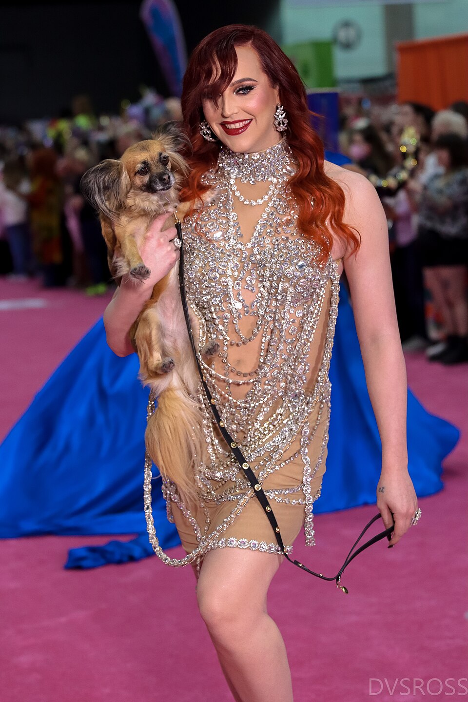 Laganja Estranja