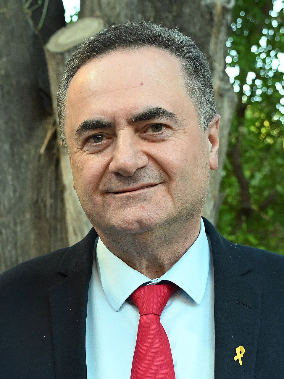 Lahav Harkov Levin