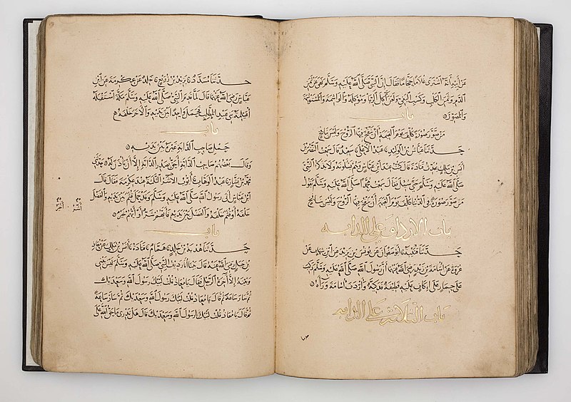Lamia Al-Siddiq