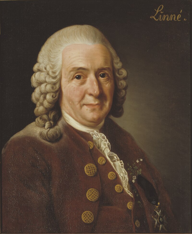 Lars Gunnar Broberg